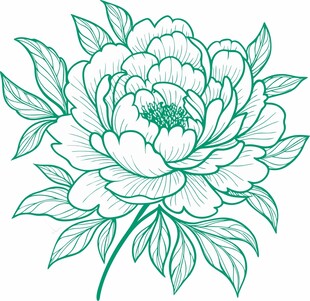 手绘清新绿牡丹花卉图案