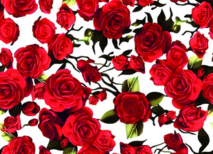 红玫瑰花卉图案背景图