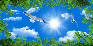 蓝天白云天顶画