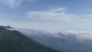 高山云海风机转动视频