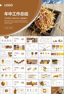 中医中药行业总结计划PPT