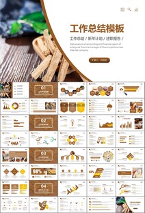 中医中药行业总结计划PPT