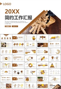 中医中药行业总结计划PPT