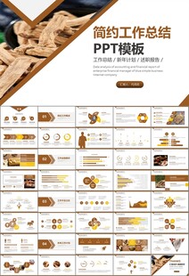 中医中药行业总结计划PPT