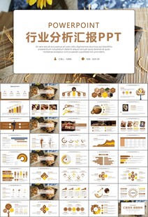 中医中药行业总结计划PPT