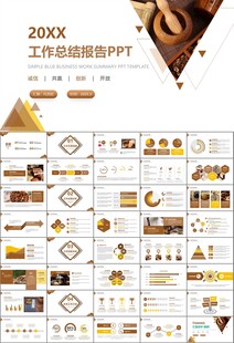 中医中药行业总结计划PPT