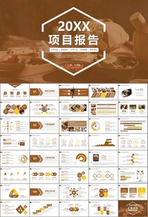 中医中药行业总结计划PPT