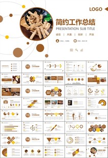 中医中药行业总结计划PPT