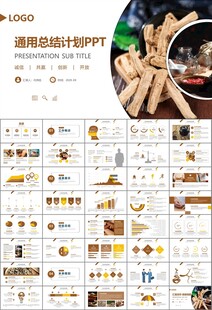 中医中药行业总结计划PPT