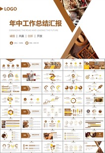 中医中药行业总结计划PPT