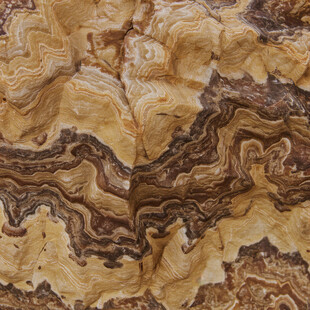 独特纹理的精美木纹图案