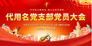 党支部党员大会背景