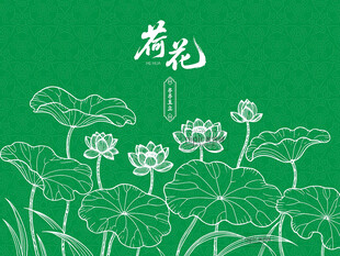 荷花线条插画