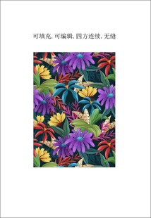 紫色菊花  花卉植物图案