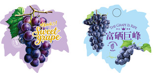 巨峰葡萄不干胶标签