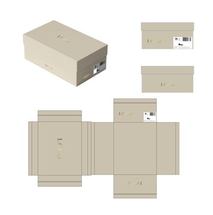 简约鞋盒纸盒包装设计展示