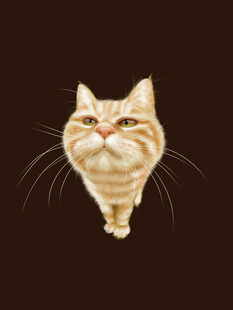 手绘可爱橘猫头像
