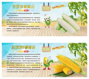 玉米简介