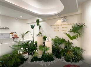 室内绿植景观布置展示