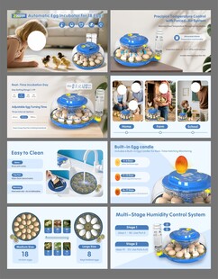 亚马逊孵蛋器轮播图
