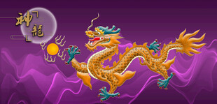 龙金龙飞龙中国龙