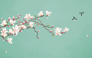 新中式玉兰工笔花鸟背景墙装饰画