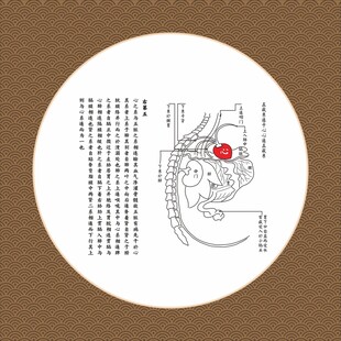 中医经络穴位示意图