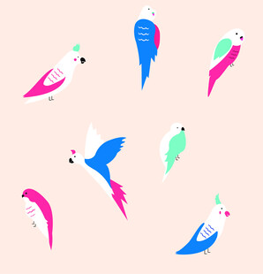 多彩鹦鹉图案设计素材