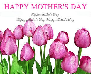 母亲节快乐卡片 节日贺卡