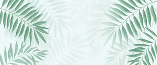 雾气磨砂膜效果绿植贴图