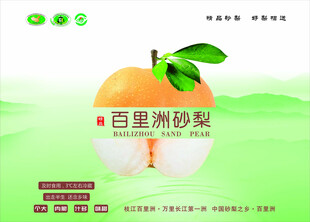 百里洲砂梨宣传图