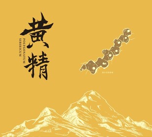 黄精中药包装封面设计