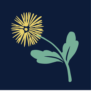 蓝色背景上的简约花朵图案