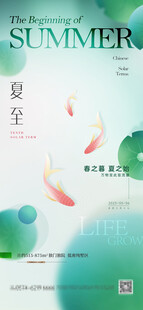 夏日池塘锦鲤悠然游弋