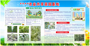 农业农场共享菜园基地展板