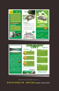 精品生态甲鱼专业宣传单折页
