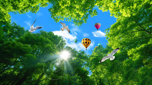 仰视蓝天白云树林