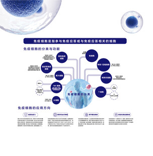 细胞研究流程示意图
