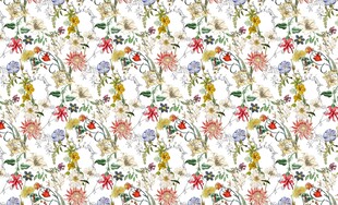 花卉图案 多彩清新艺术风 