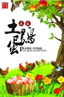 田园土鸡