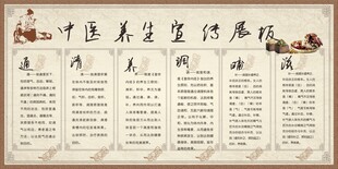 调养中医养生宣传展板