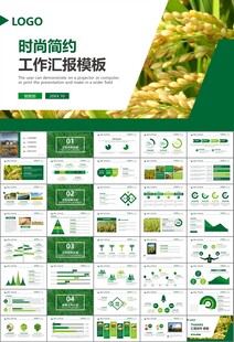 水稻农田农业种植大米PPT模板