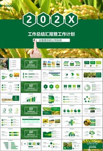 水稻农田农业种植大米PPT模板
