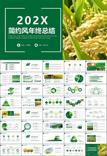 水稻农田农业种植大米PPT模板