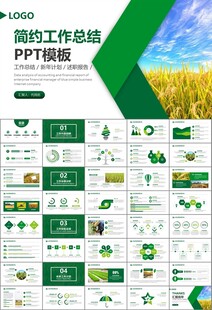 水稻农田农业种植大米PPT模板