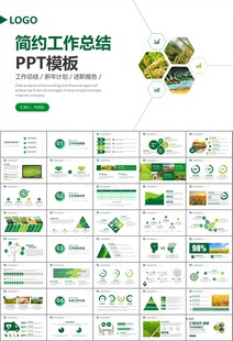 水稻农田农业种植大米PPT模板