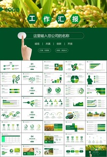水稻农田农业种植大米PPT模板