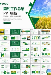 水稻农田农业种植大米PPT模板