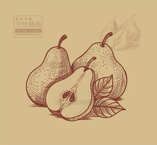 矢量手绘鸭梨