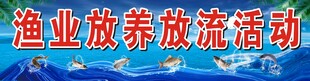 江河保护渔业发展 